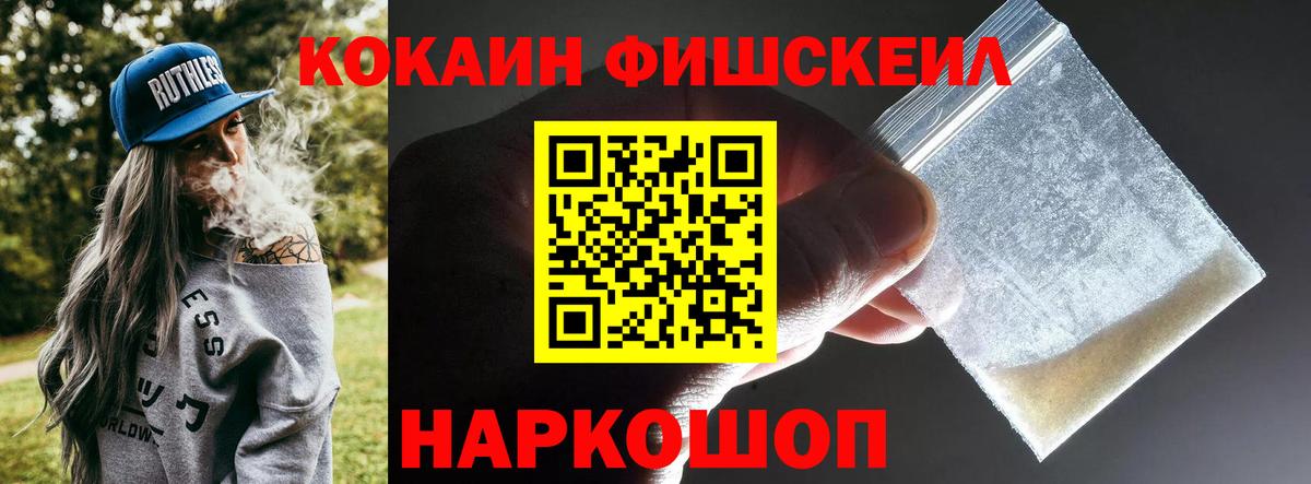 купить  сайты  Вход с VPN  Ноябрьск  Cocaine Fish Scale 